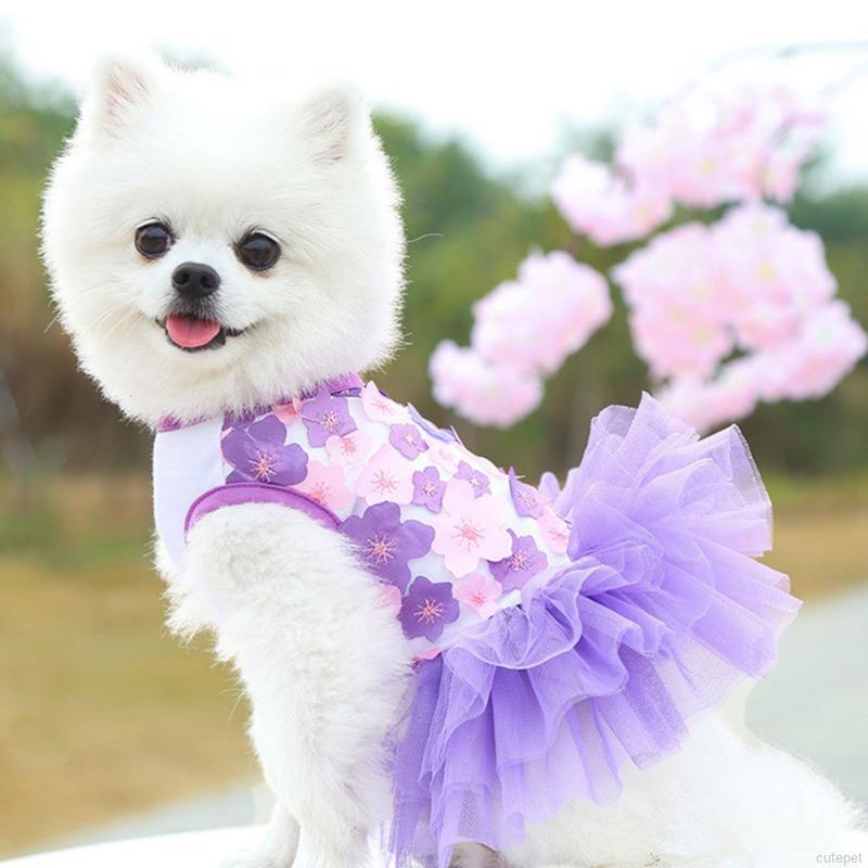 Vestidos de princesa online para perritas