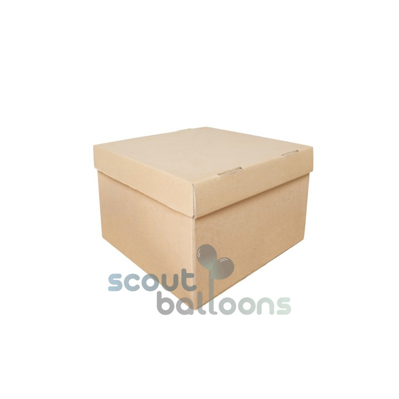 Cartón/caja (parte inferior superior) - tamaño 30x30 x 20 cm