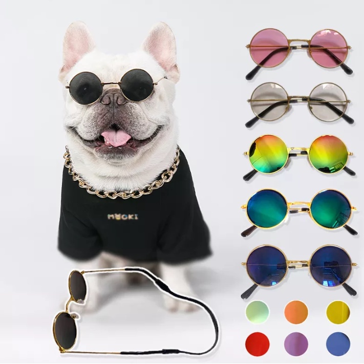 Gafas best sale para perros